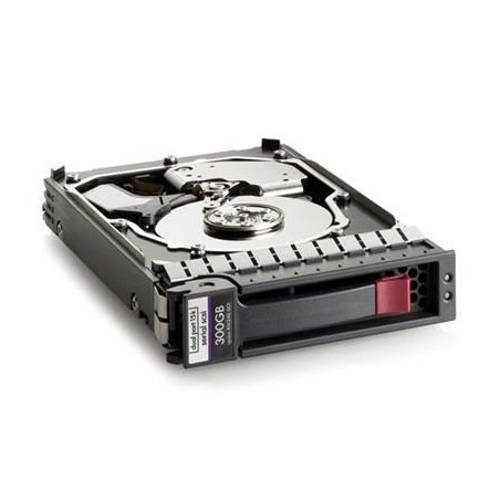 Hewlett Packard Enterprise 300 GB Dual Port HDD 516814-B21 - High Performance, Hotswap Ready